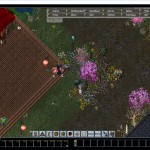 Ultima Online Enhanced
